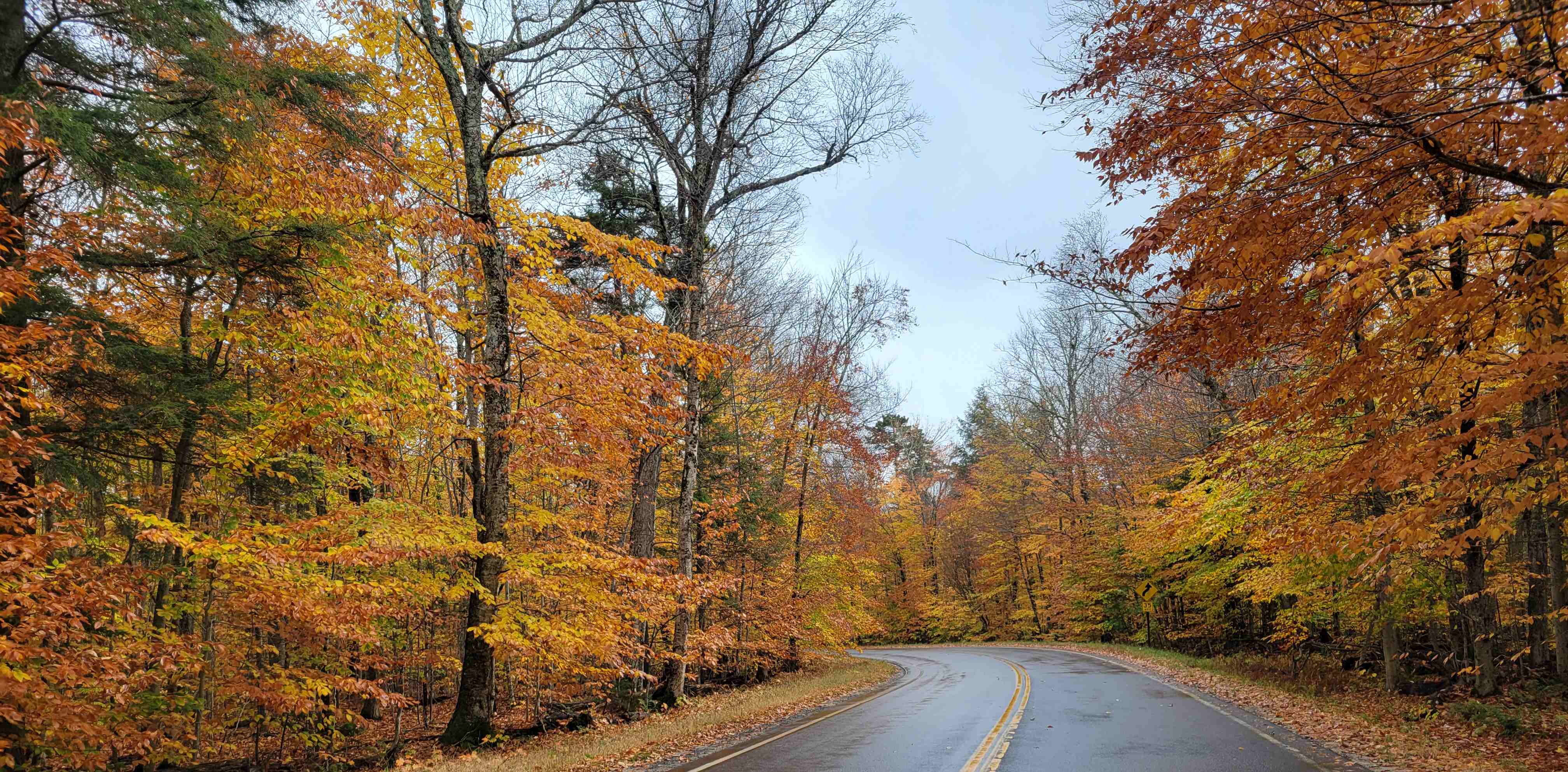2021-10-17 Leaf Peeping.jpg